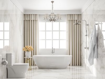 Elegant Bathtub and Surround